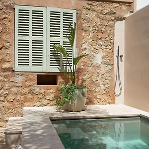 Hotel Ecocirer Healthy, Soller